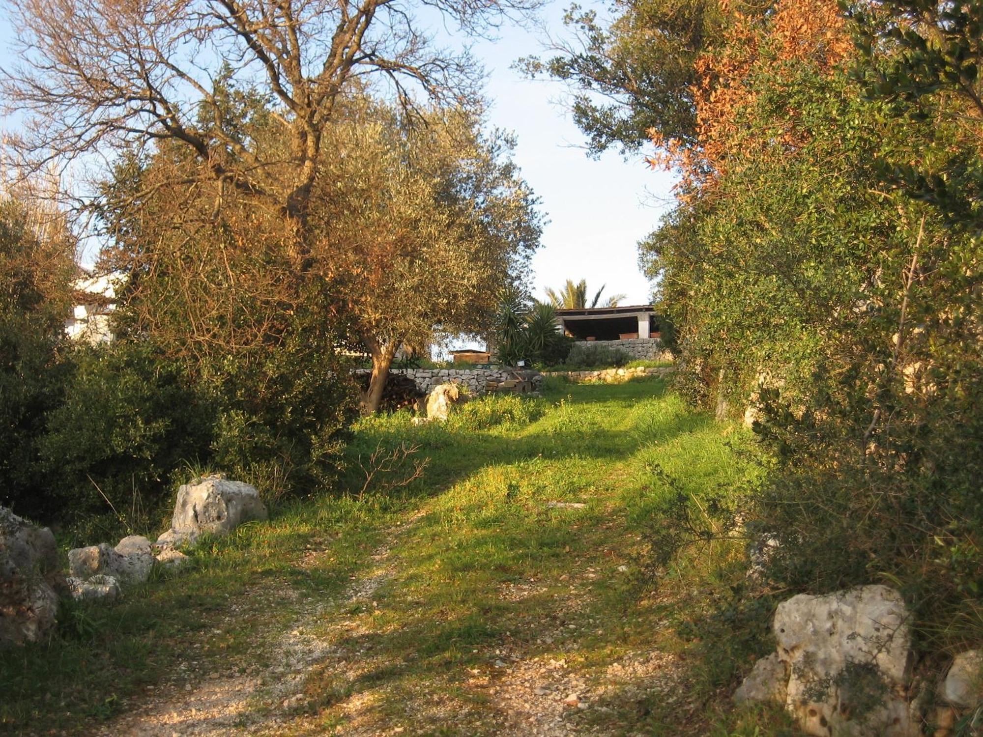 B&b Cinque Stalle Monopoli Extérieur photo